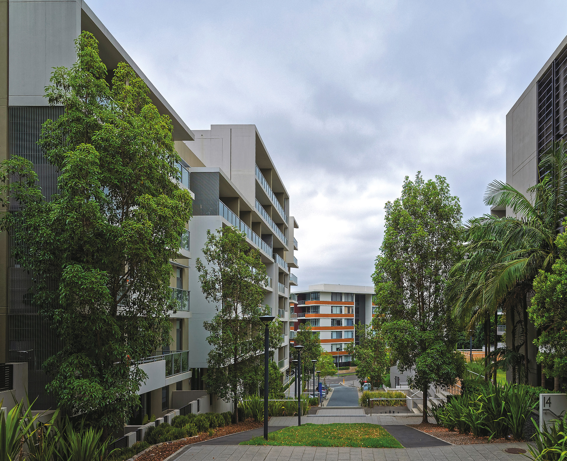 Why the 2019 Property Market Crash never happened (and why it never